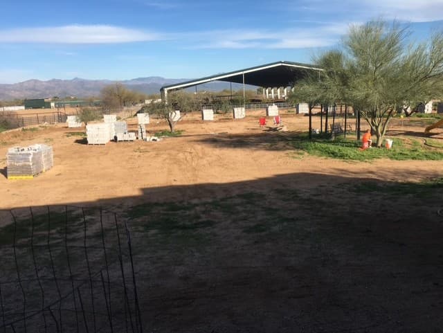 Wild Cactus Farm — photo 4
