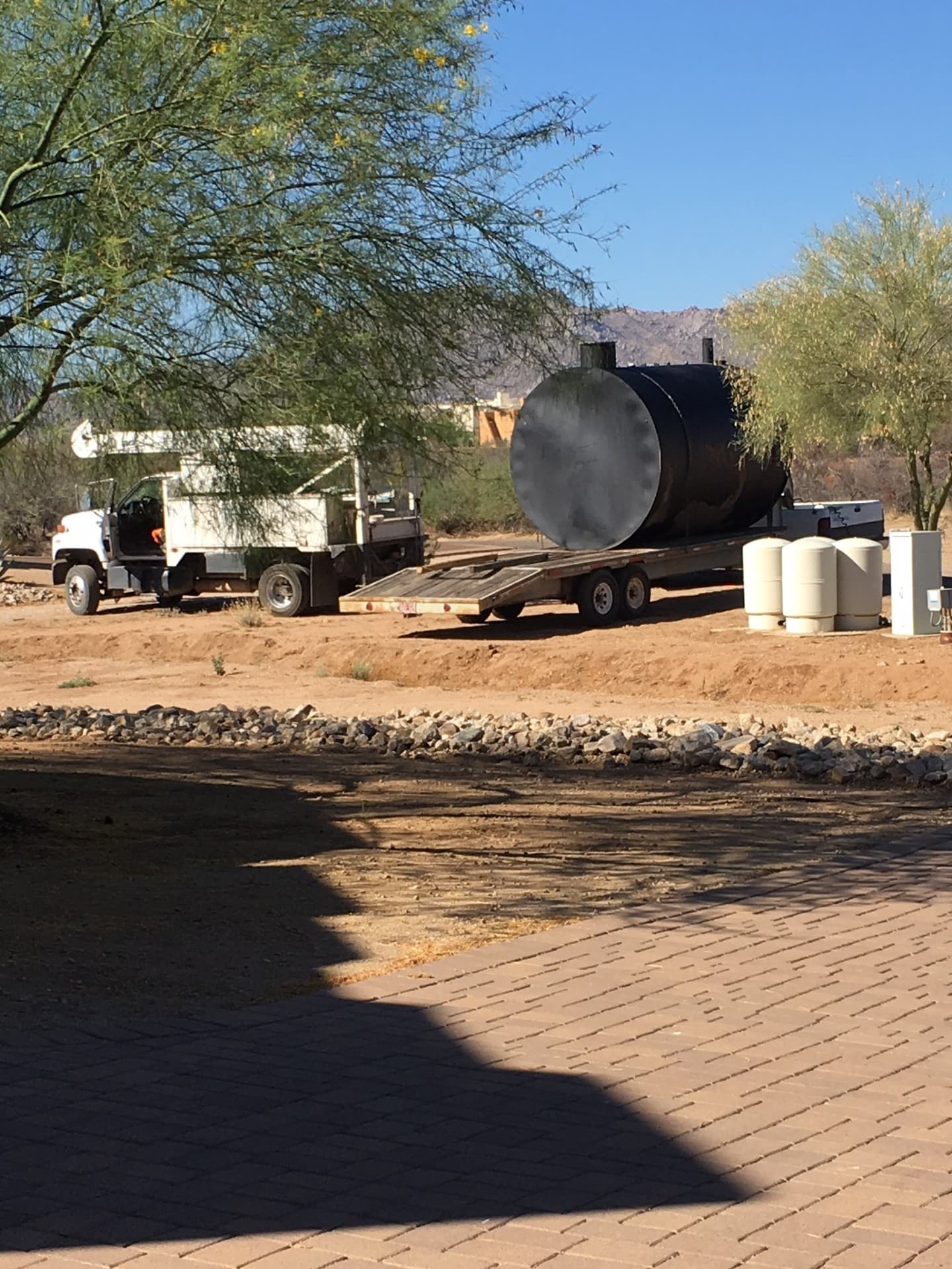Wild Cactus Farm — photo 10