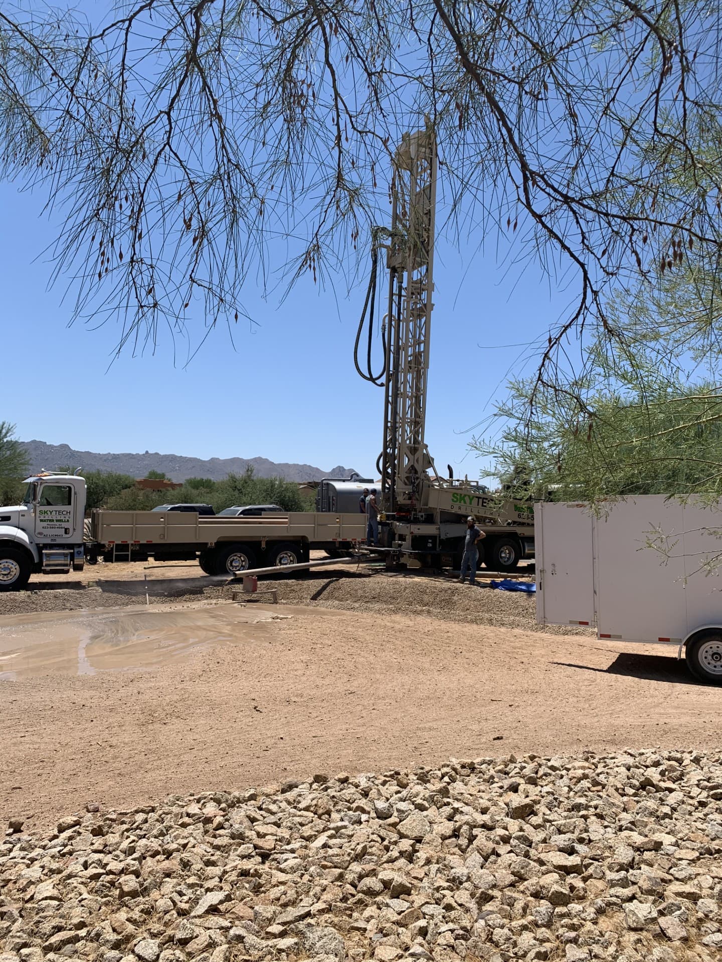 Wild Cactus Farm — photo 11