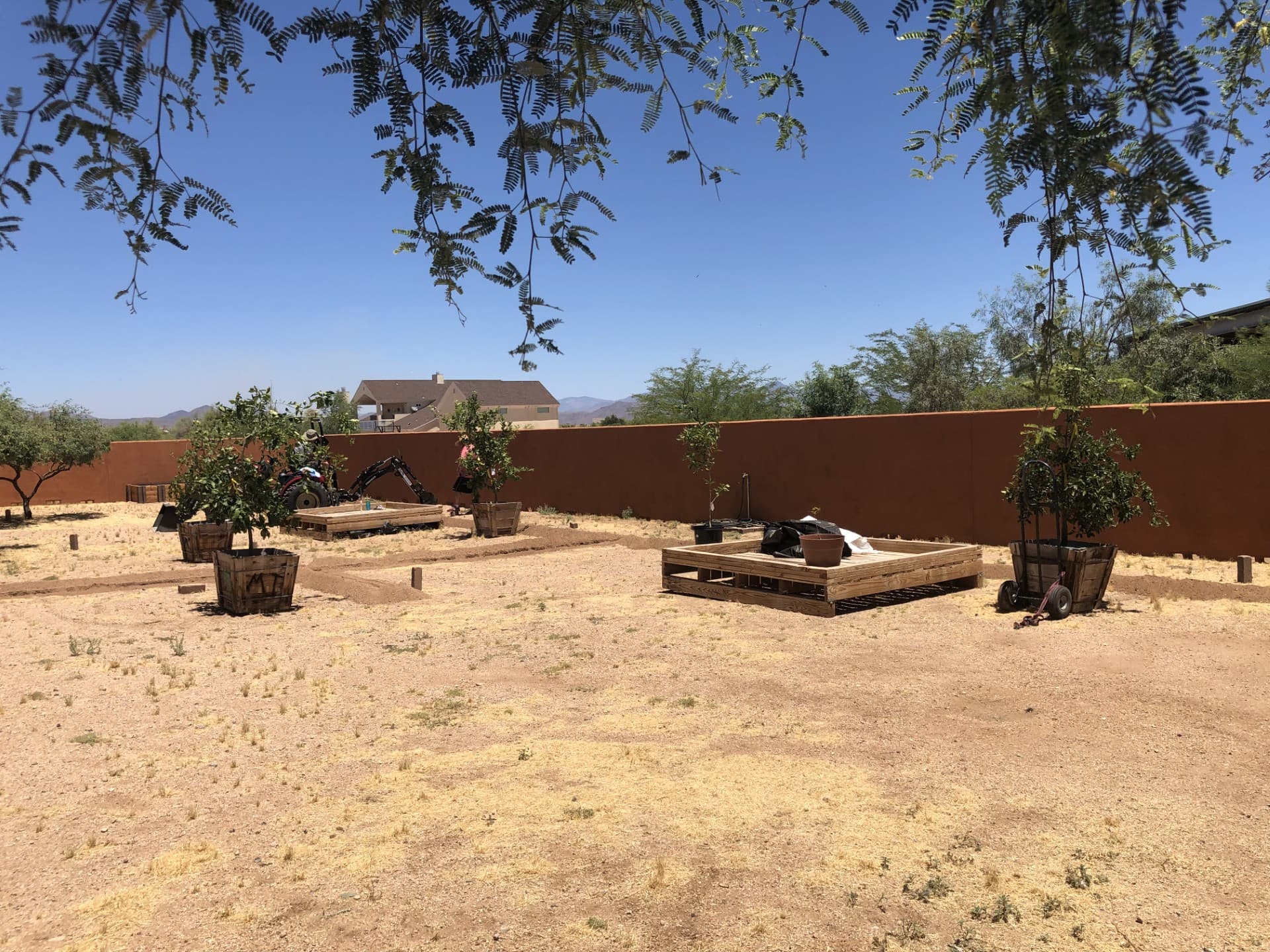 Wild Cactus Farm — photo 14