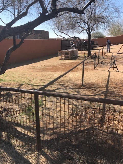 Wild Cactus Farm — photo 16