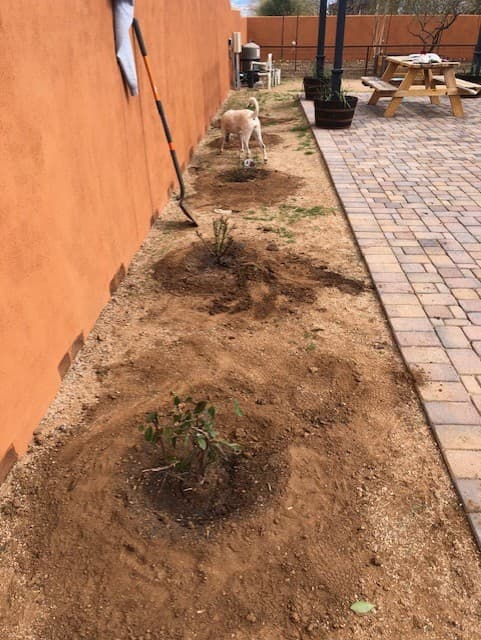 Wild Cactus Farm — photo 17