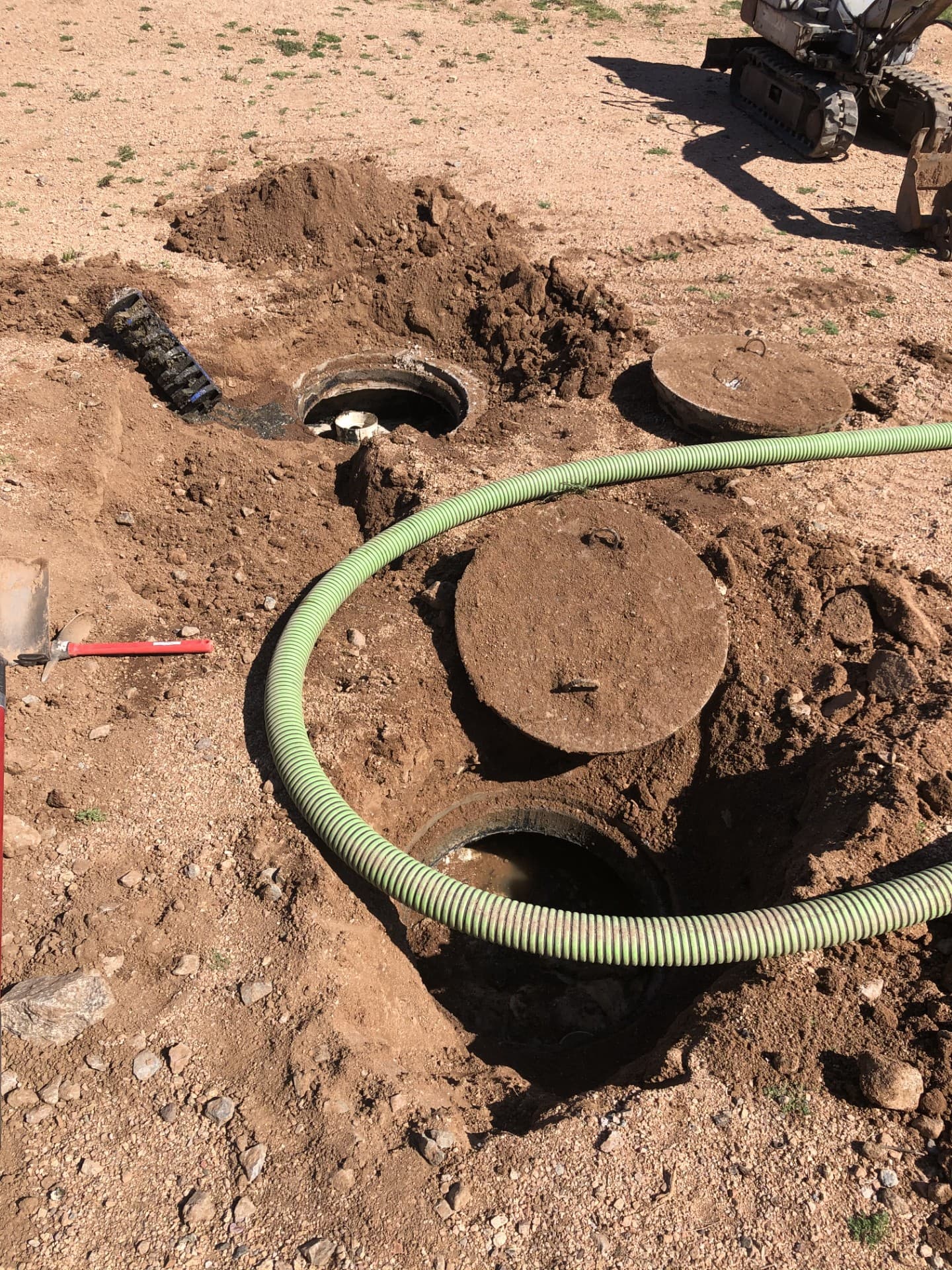 Wild Cactus Farm — photo 19