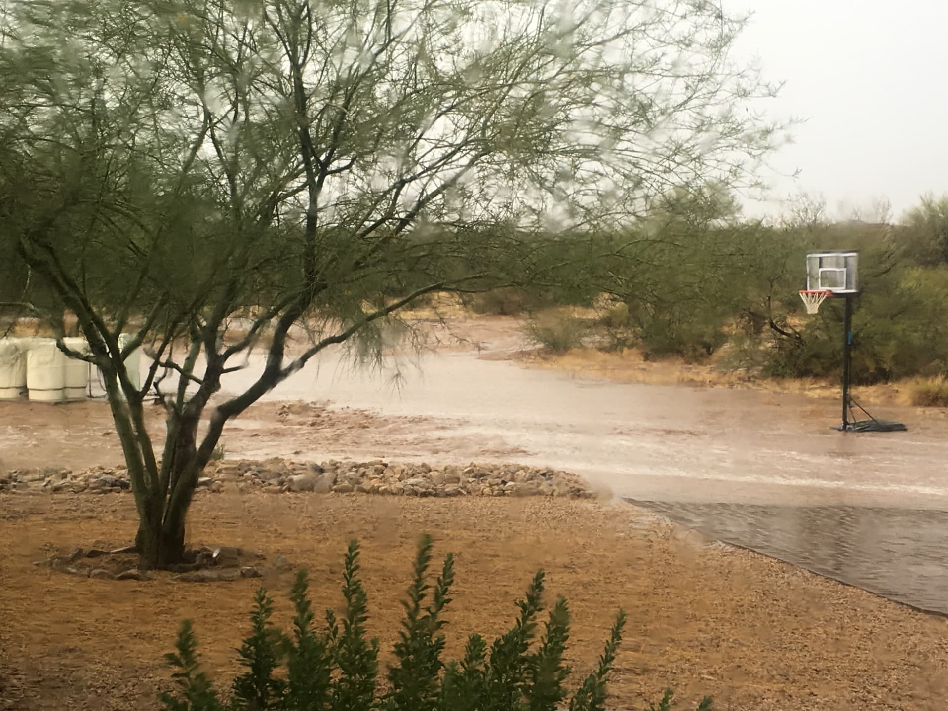 Wild Cactus Farm — photo 20