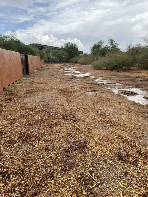 Wild Cactus Farm — photo 25