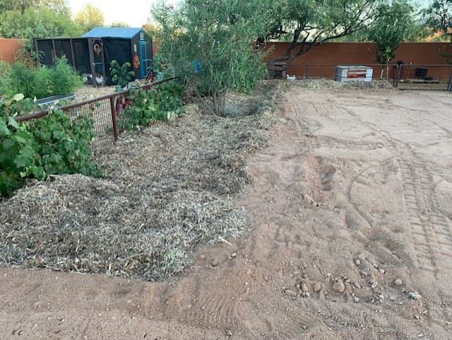 Wild Cactus Farm — photo 30