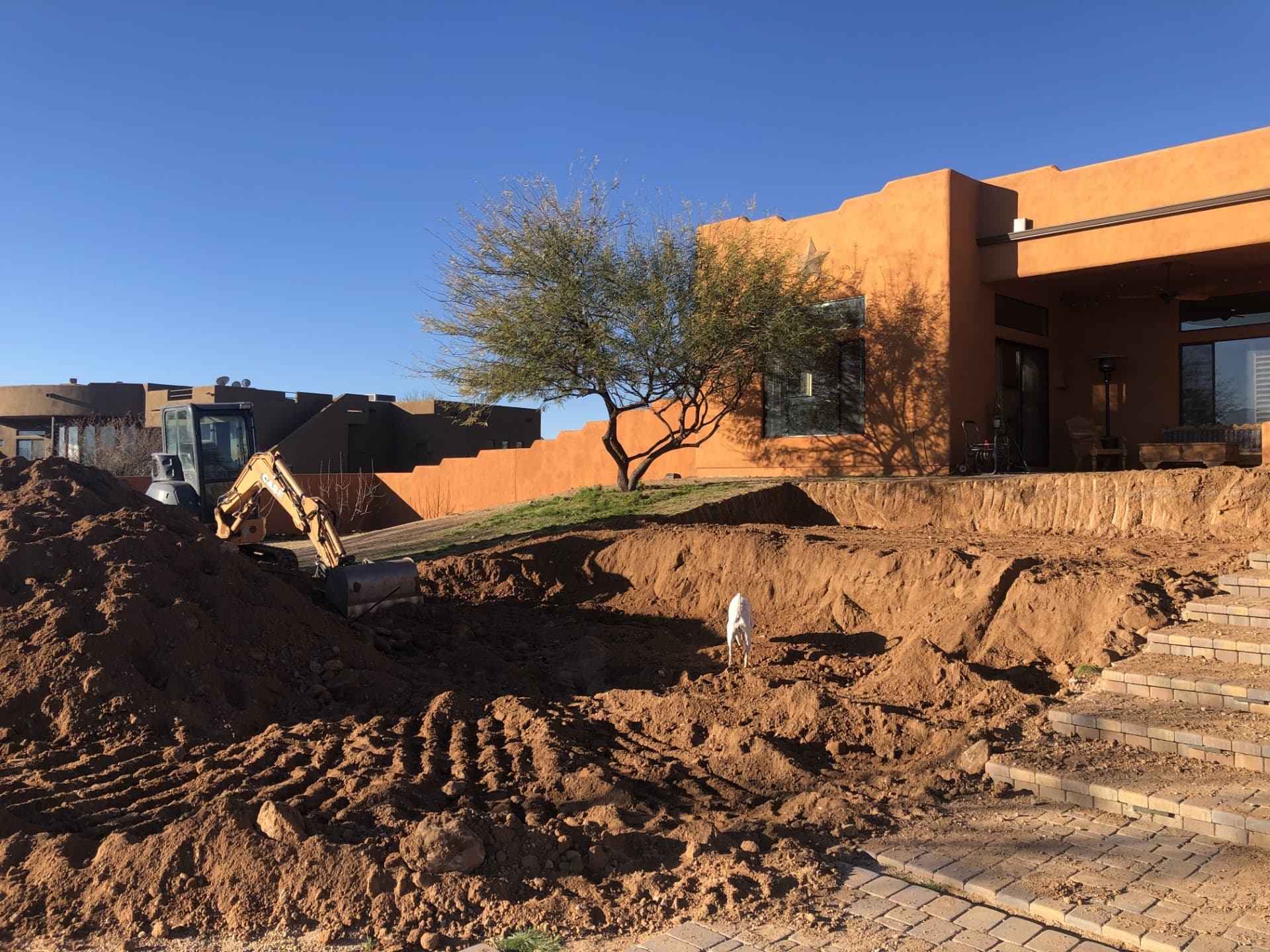 Wild Cactus Farm — photo 31