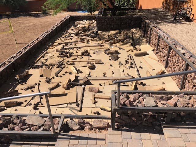 Wild Cactus Farm — photo 32