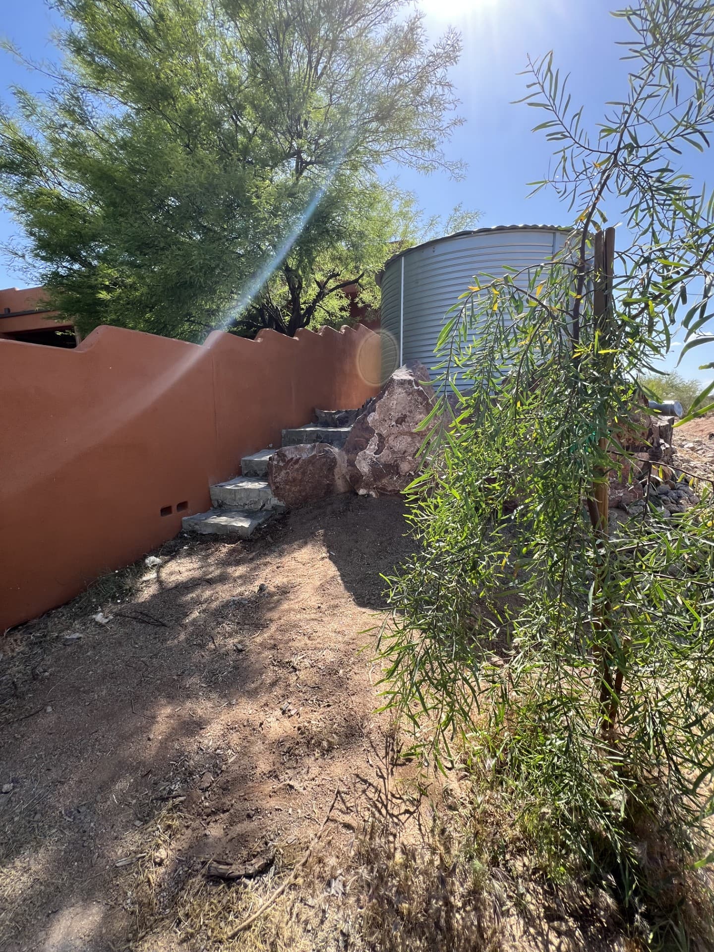 Wild Cactus Farm — photo 37