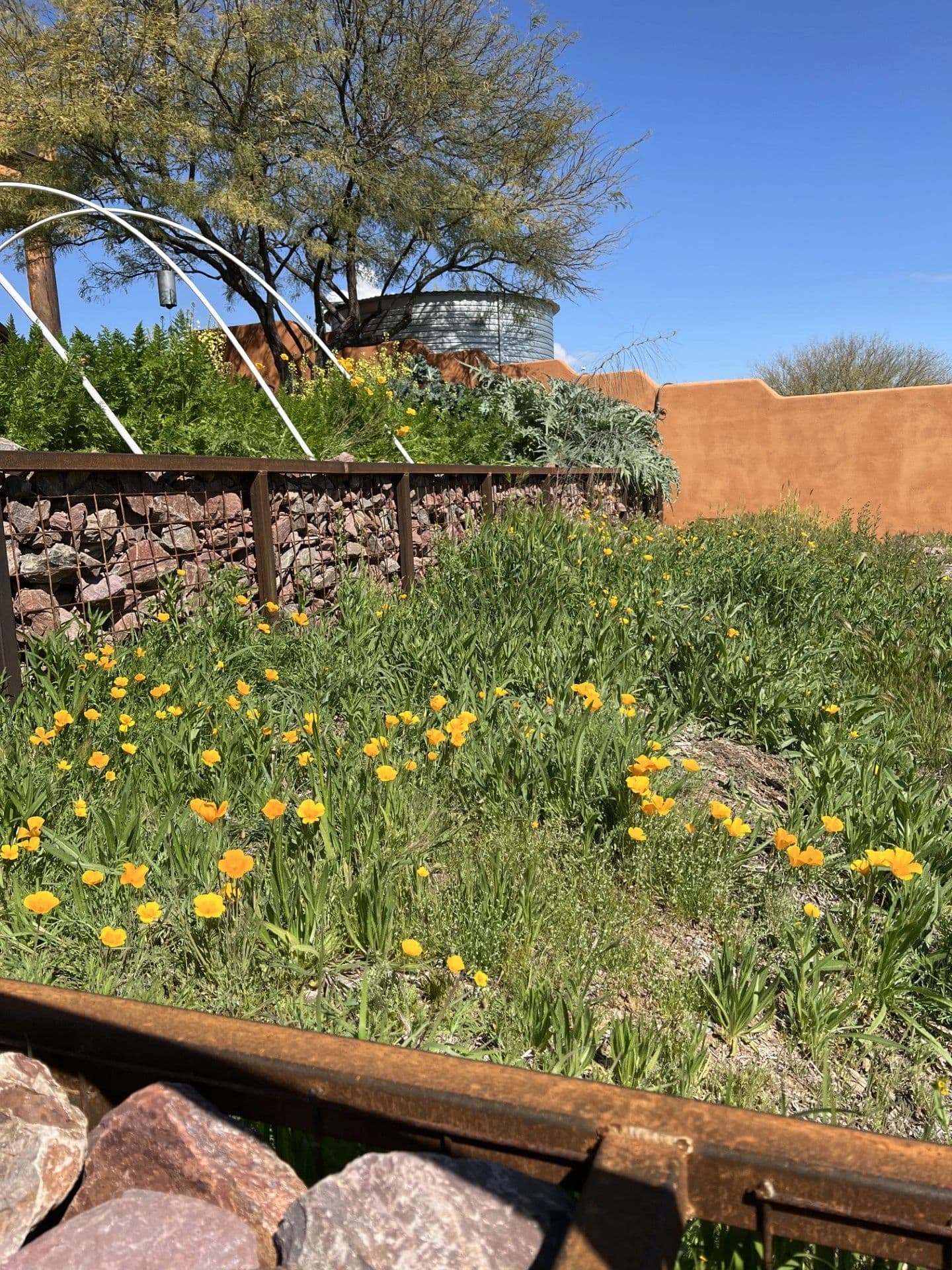 Wild Cactus Farm experience