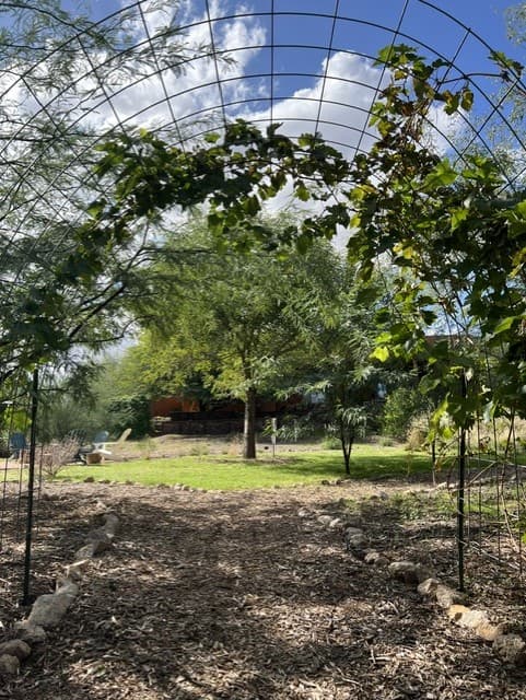 Wild Cactus Farm — photo 40
