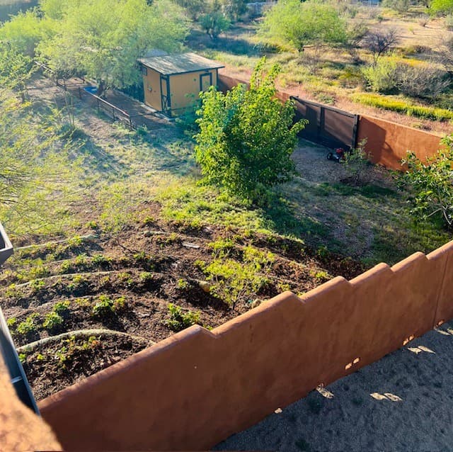 Wild Cactus Farm — photo 41