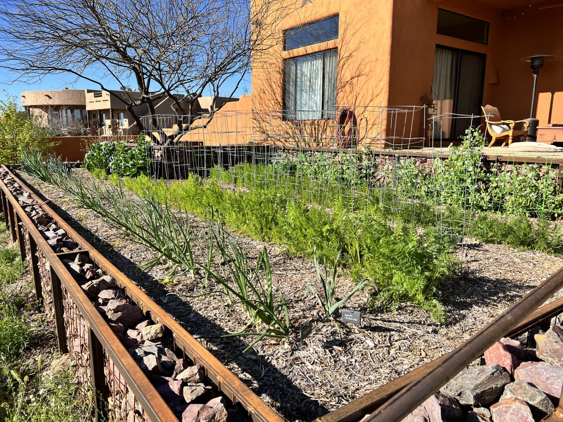 Wild Cactus Farm — photo 44