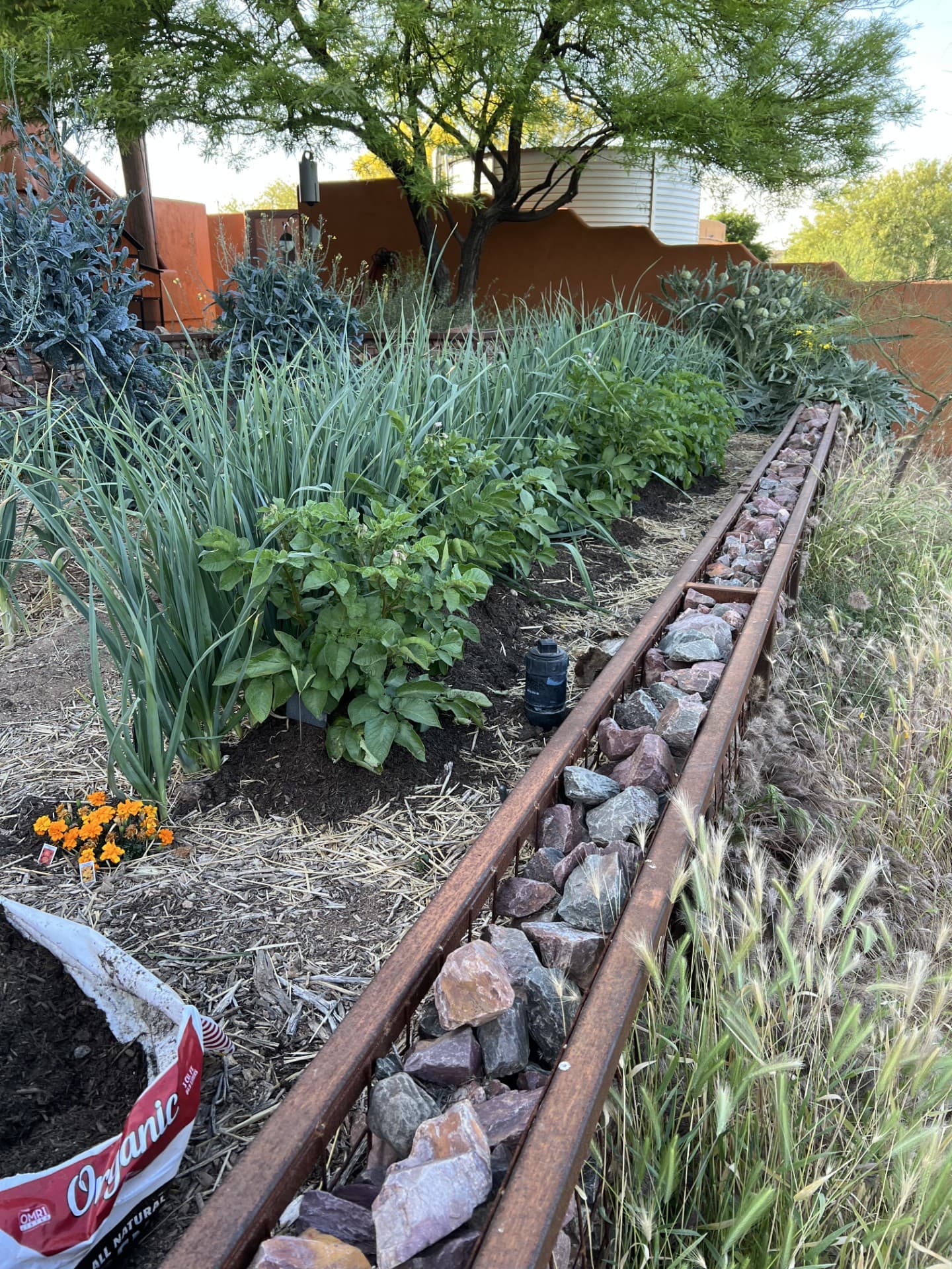 Wild Cactus Farm — photo 45