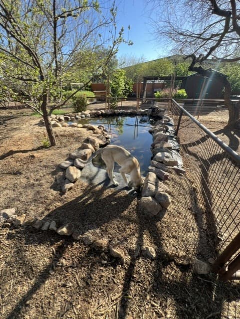 Wild Cactus Farm — photo 47