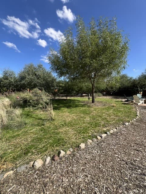 Wild Cactus Farm — photo 48
