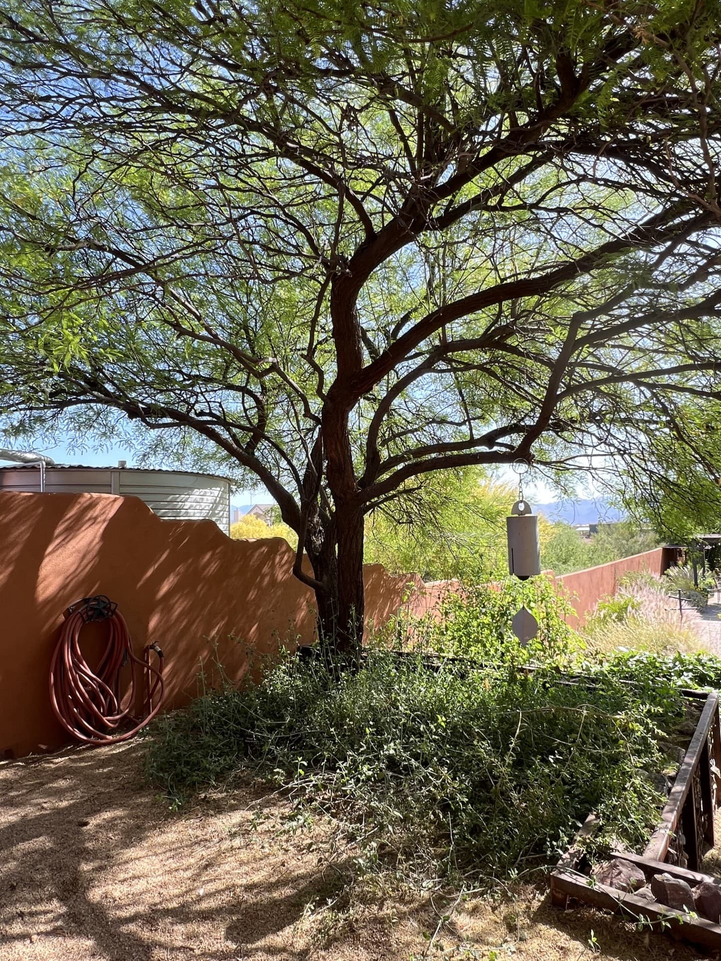 Wild Cactus Farm — photo 49