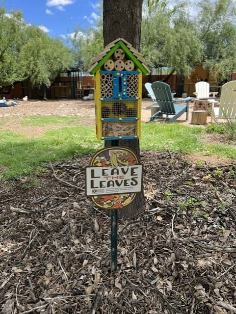 Wild Cactus Farm — photo 51