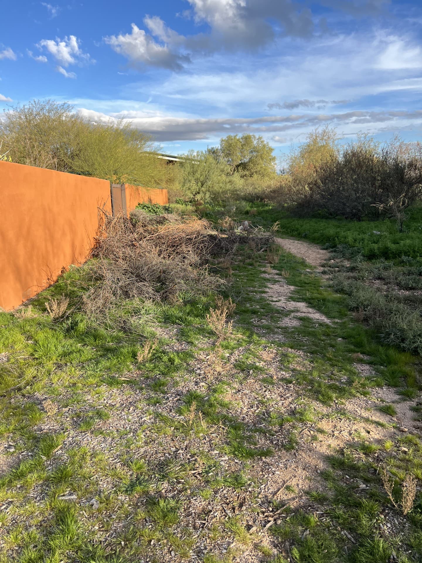 Wild Cactus Farm — photo 102