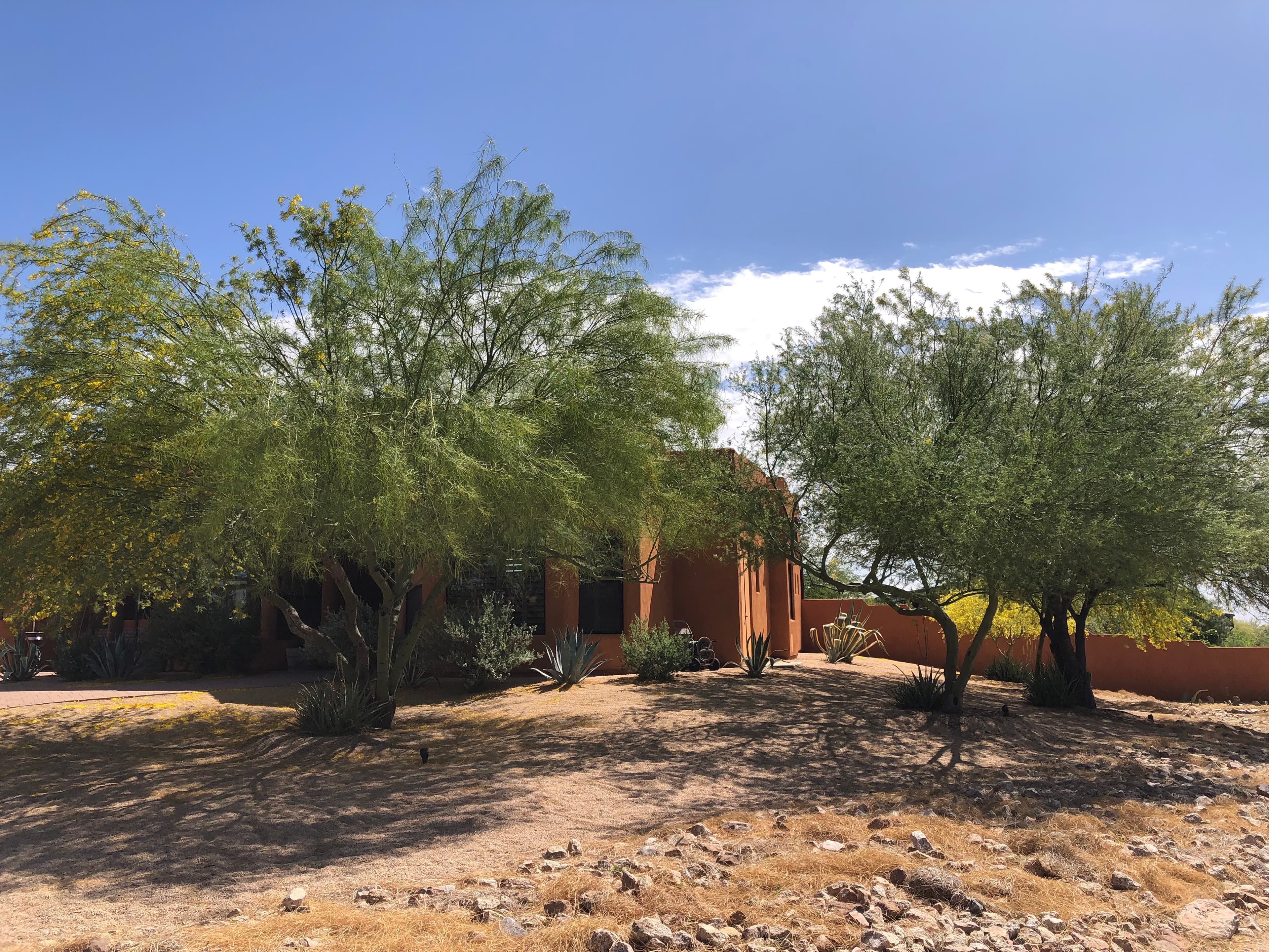 Wild Cactus Farm — photo 103